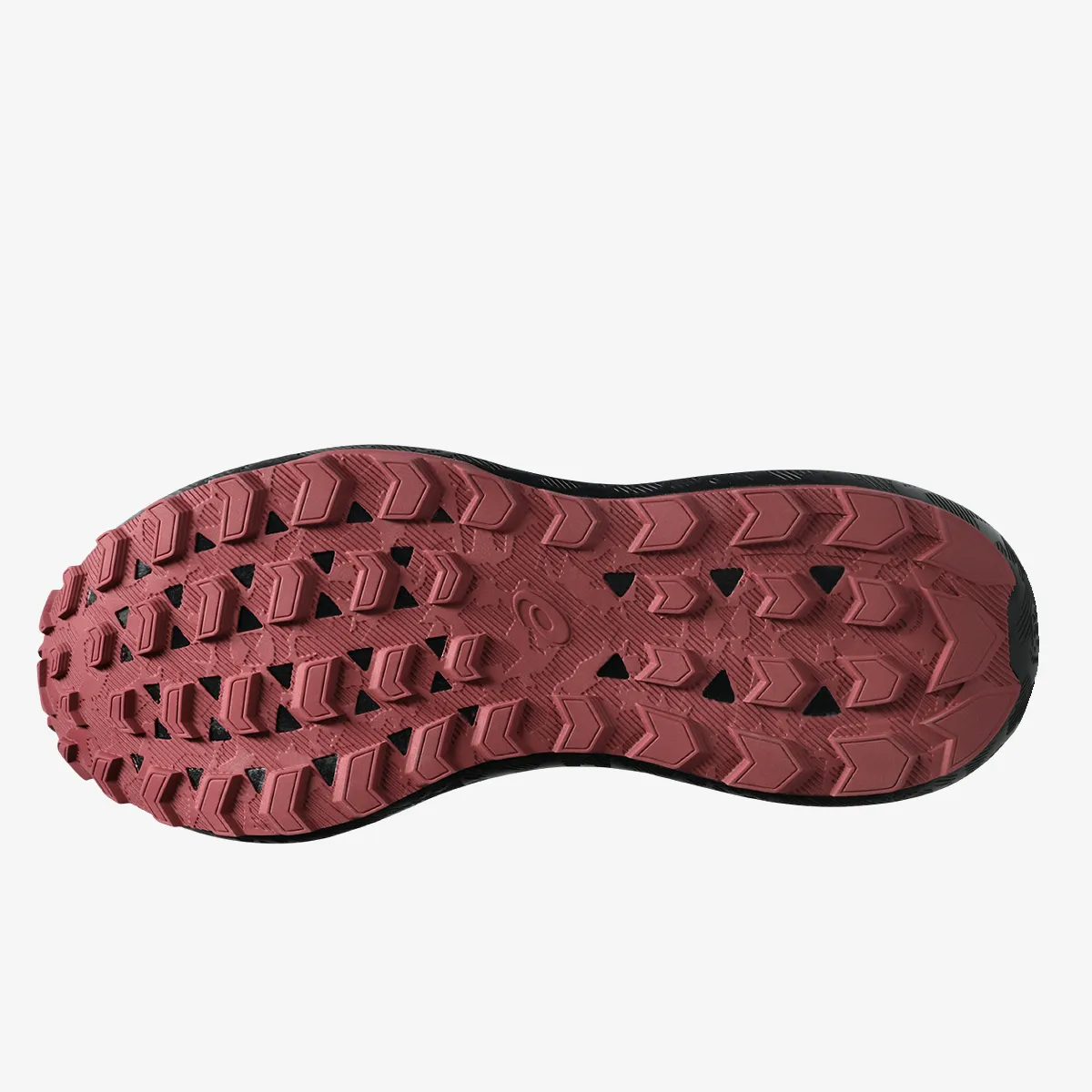 Patike GEL-SONOMA 8 GTX 