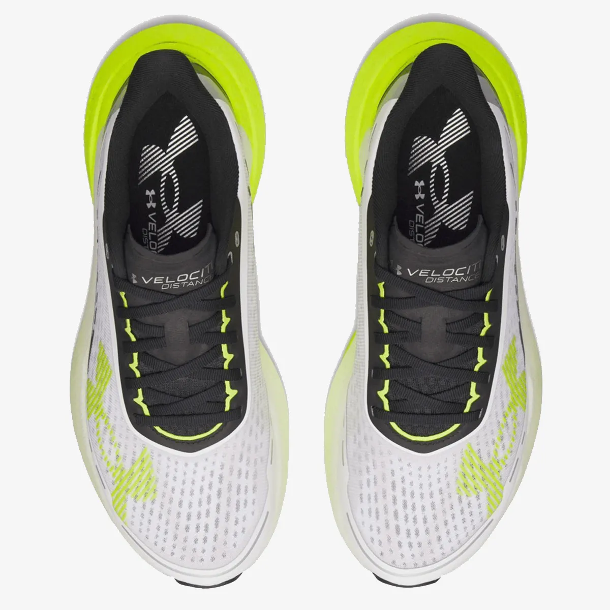 Under Armour Patike Velociti Pace 