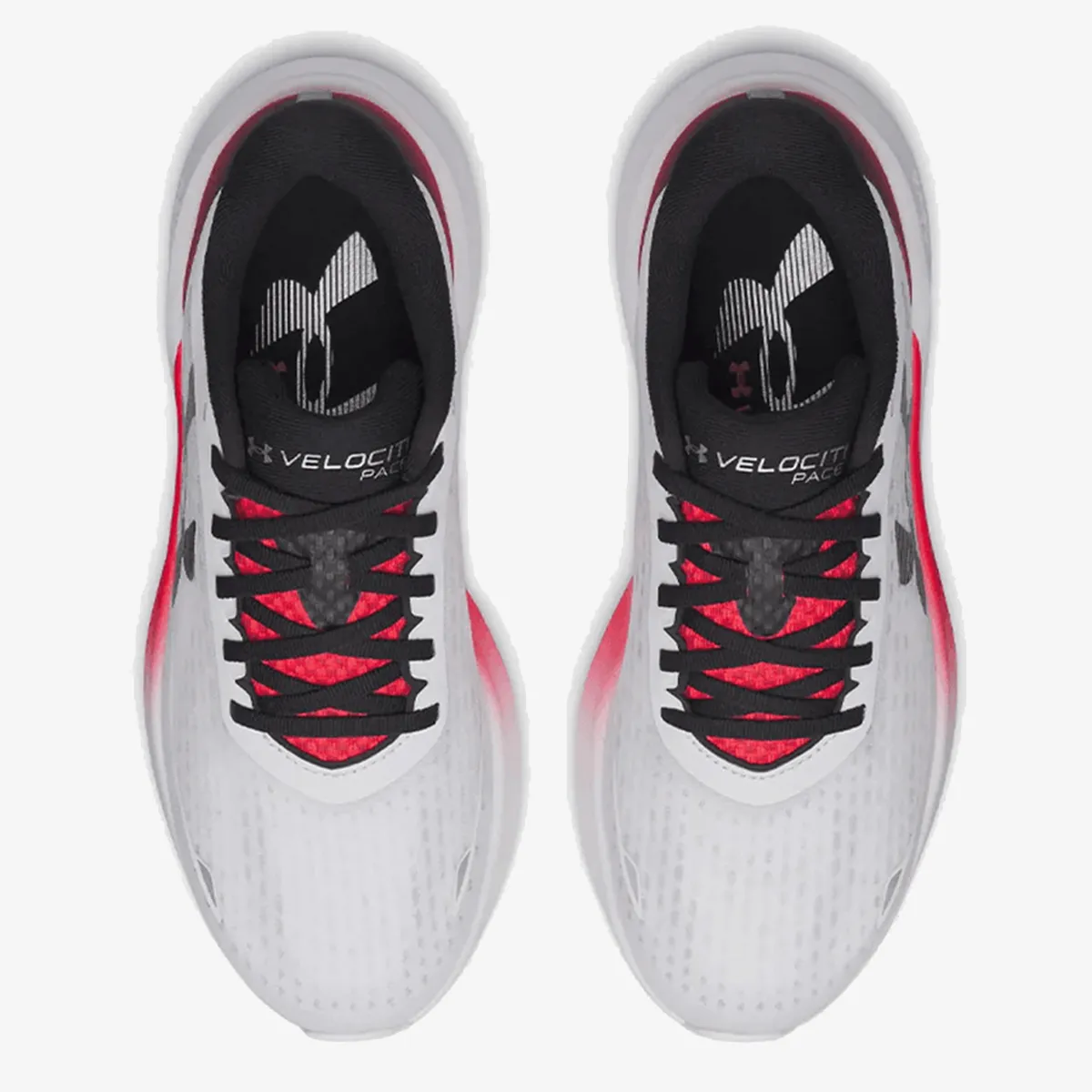 Under Armour Patike Velociti Pace 