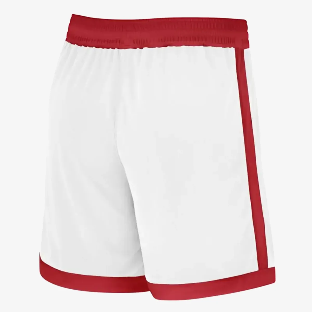 Nike Šorc Team Stock25 