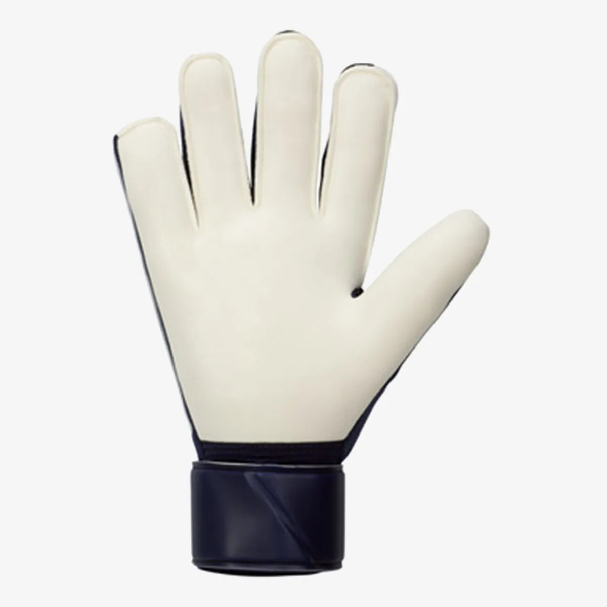Nike Golmanske rukavice Match-Ho23