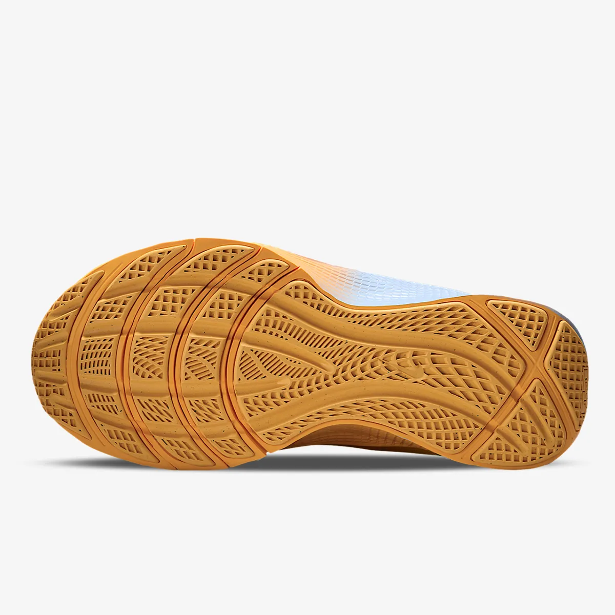 Nike Patike LEBRON TR 1 