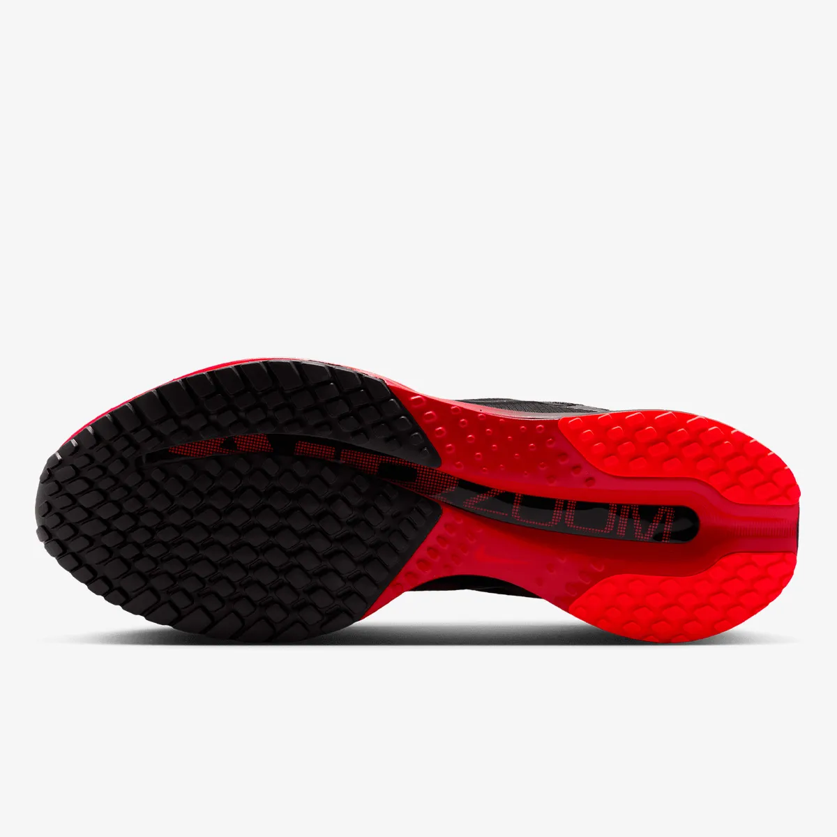 Nike Patike NIKE PEGASUS PREMIUM 