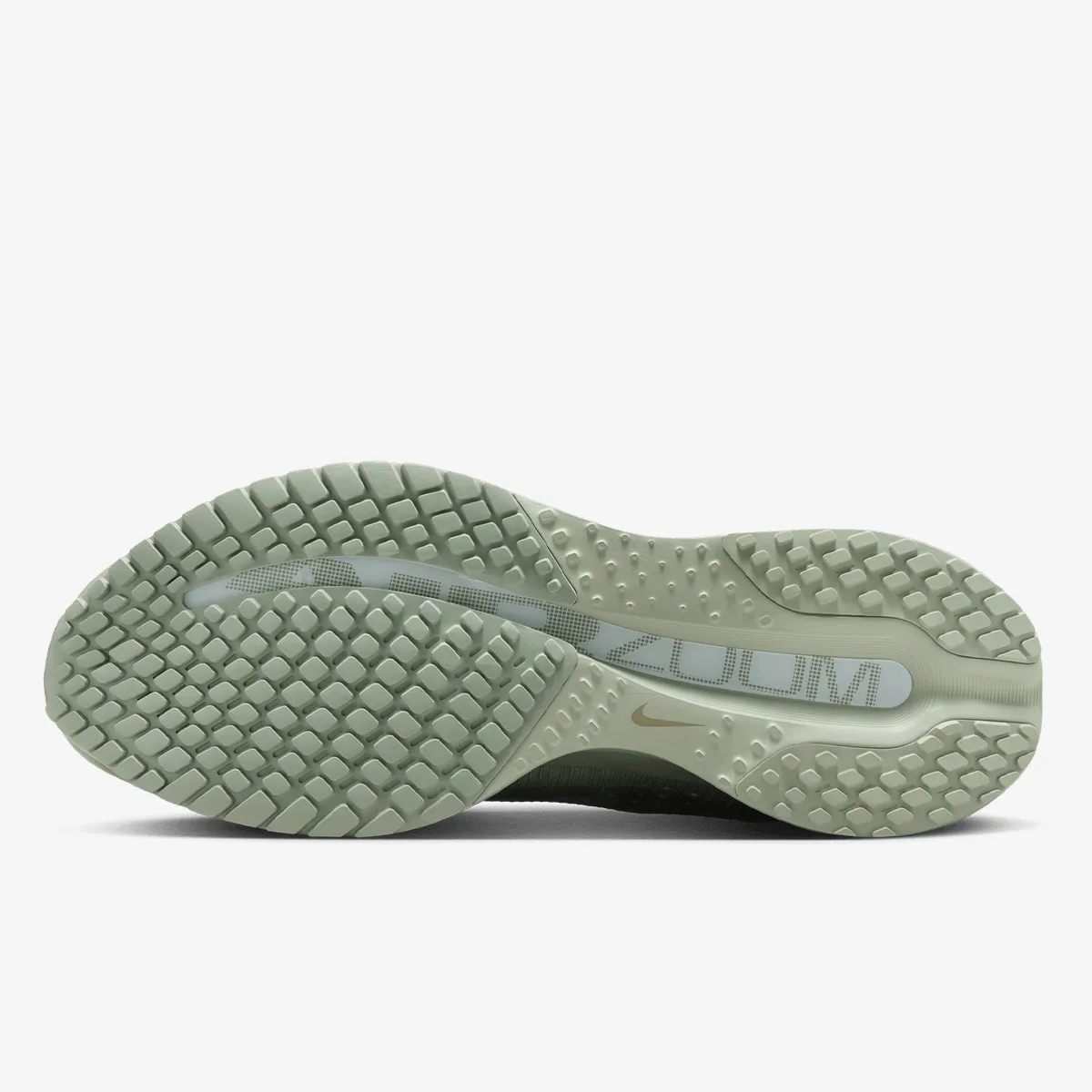 Nike Patike NIKE PEGASUS PREMIUM 