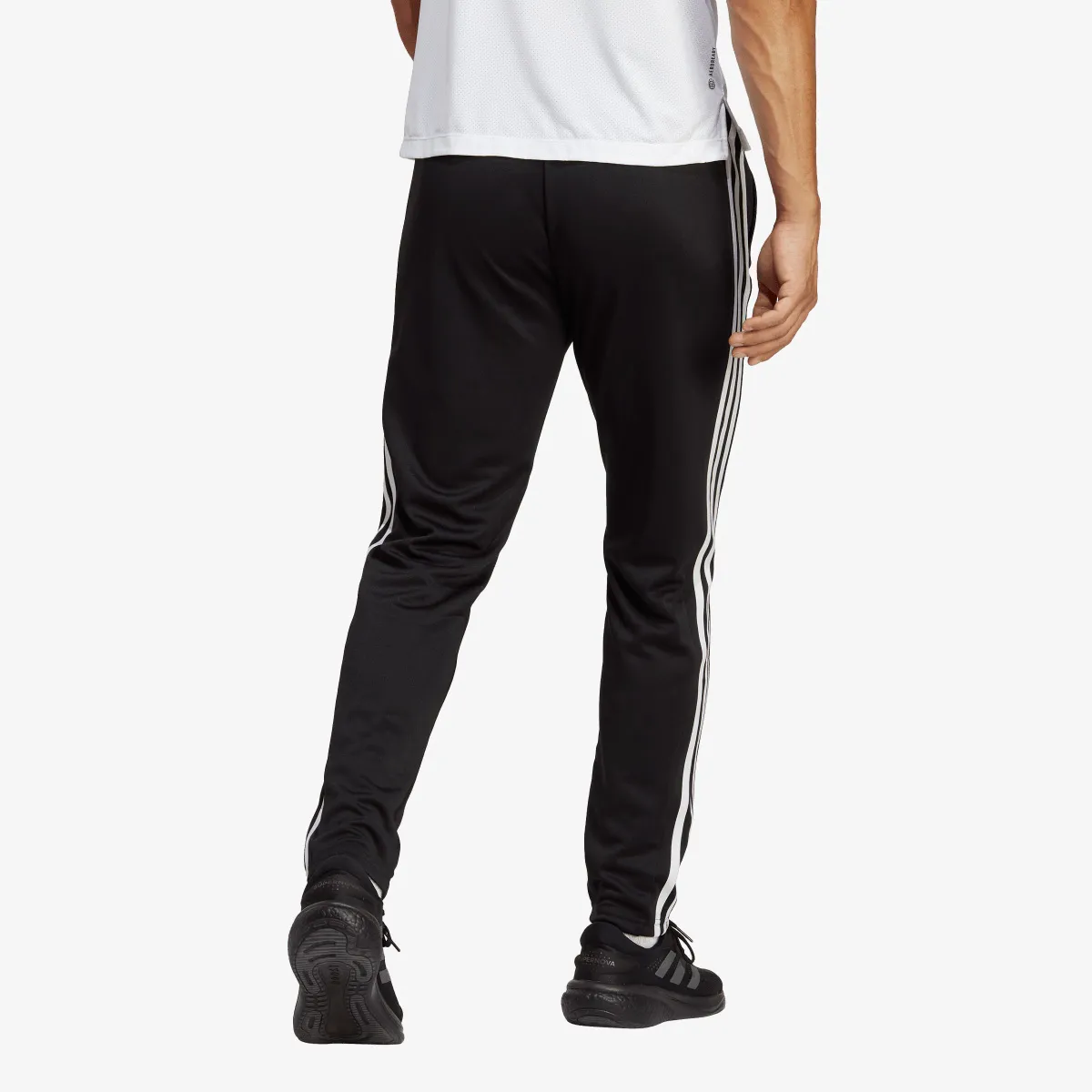 adidas Donji Deo Trenerke Train Esseltials