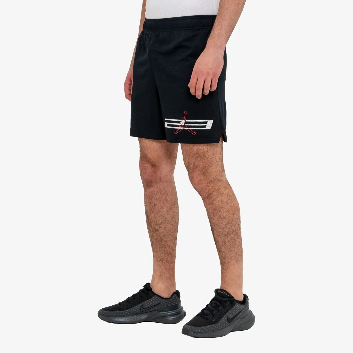 Nike Šorc Jordan Dri-Fit Mesh Graphic 