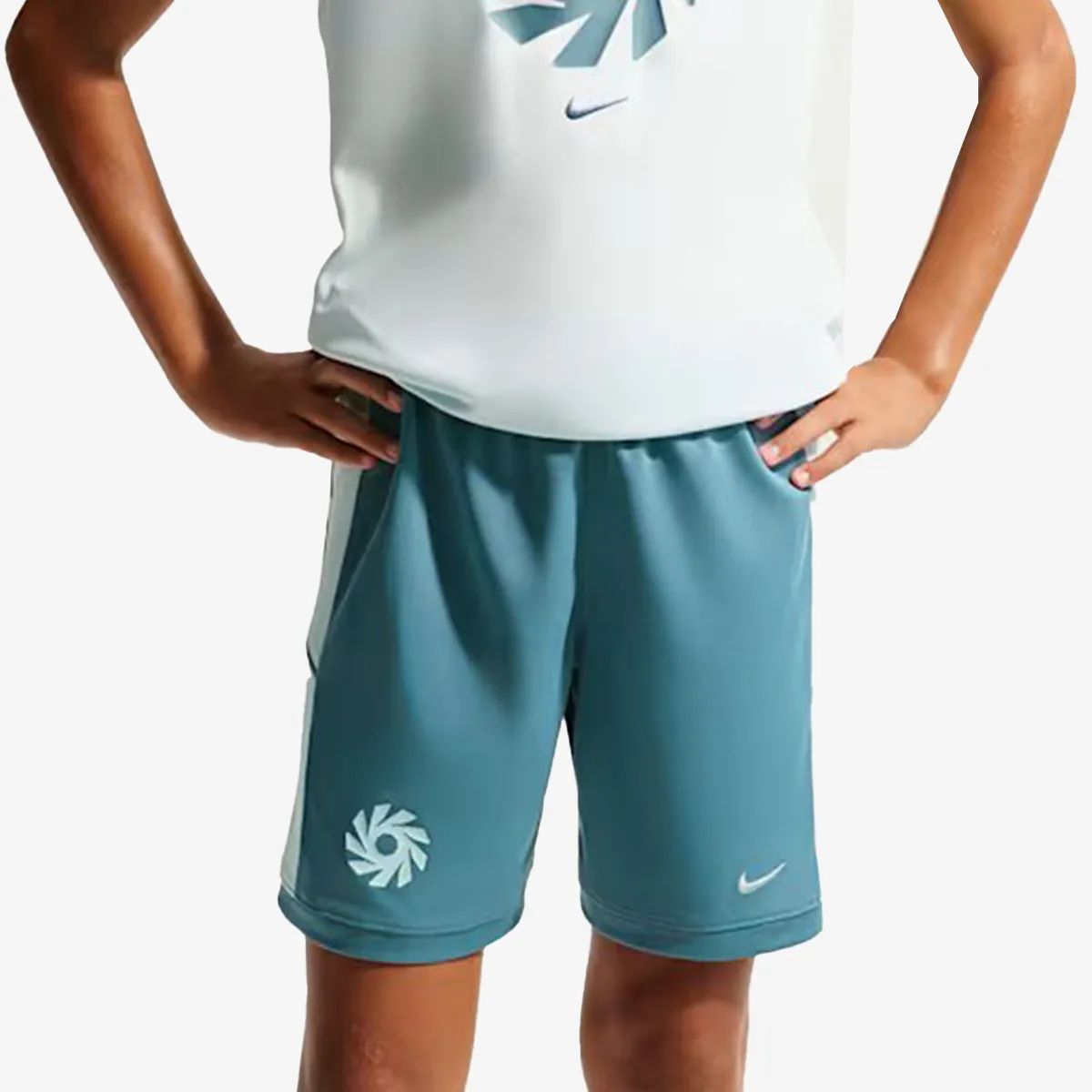Nike Šorc Academy 25