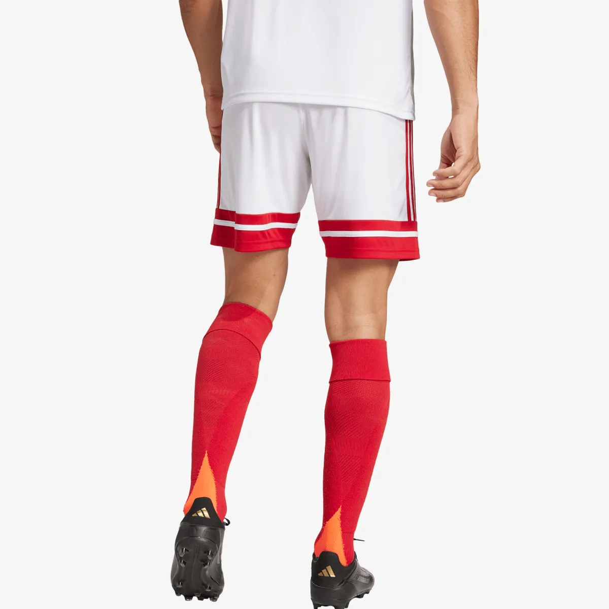 adidas Šorc SQUA25 SHO M 