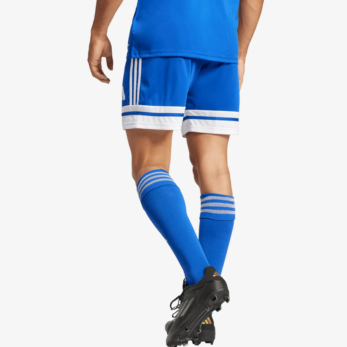 adidas Šorc SQUA25 SHO M 