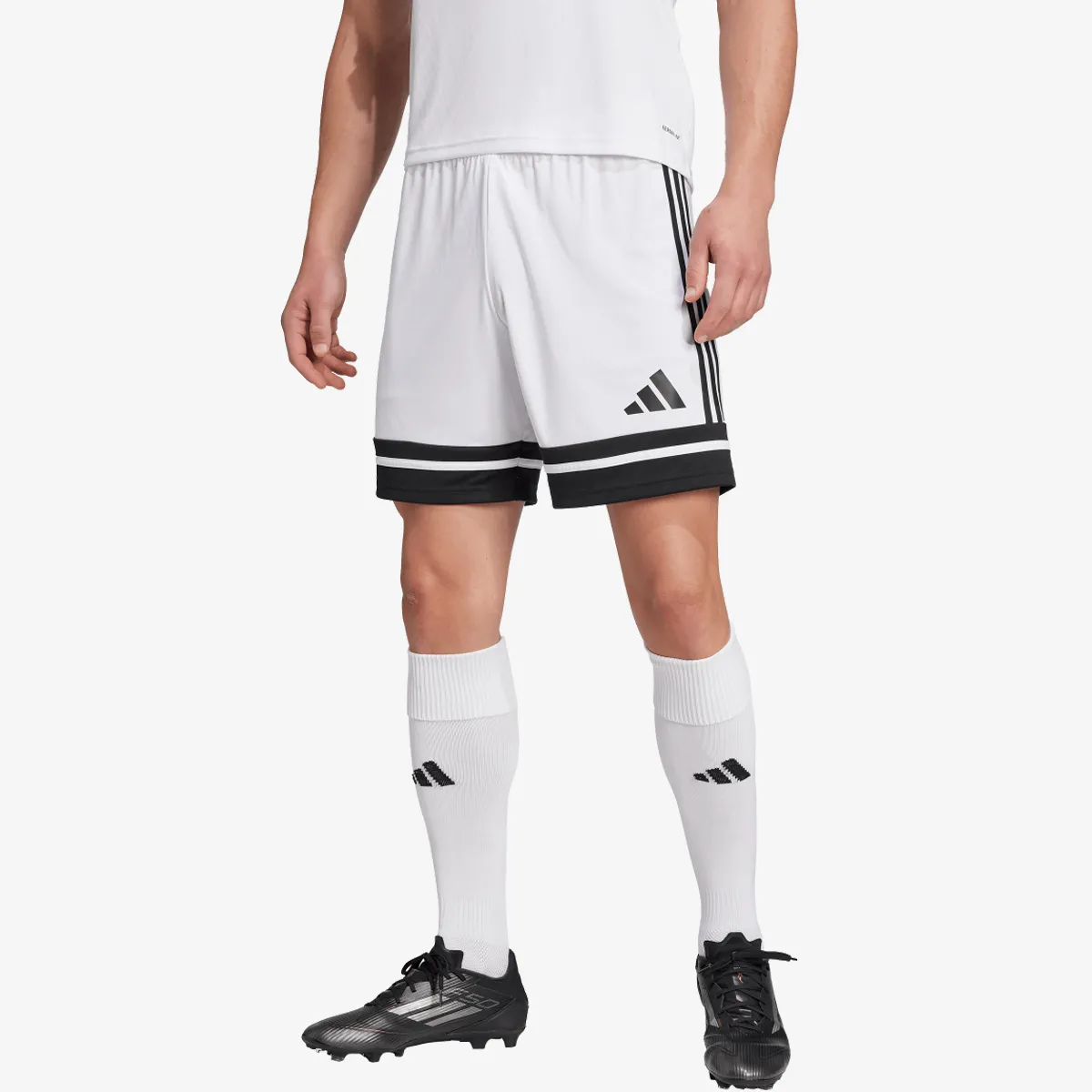 adidas Šorc SQUA25 SHO M 