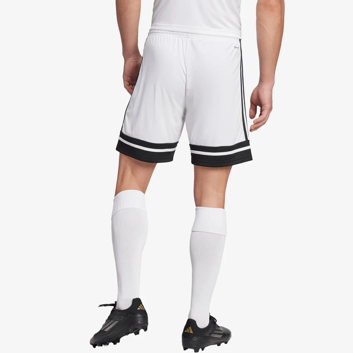 adidas Šorc SQUA25 SHO M 