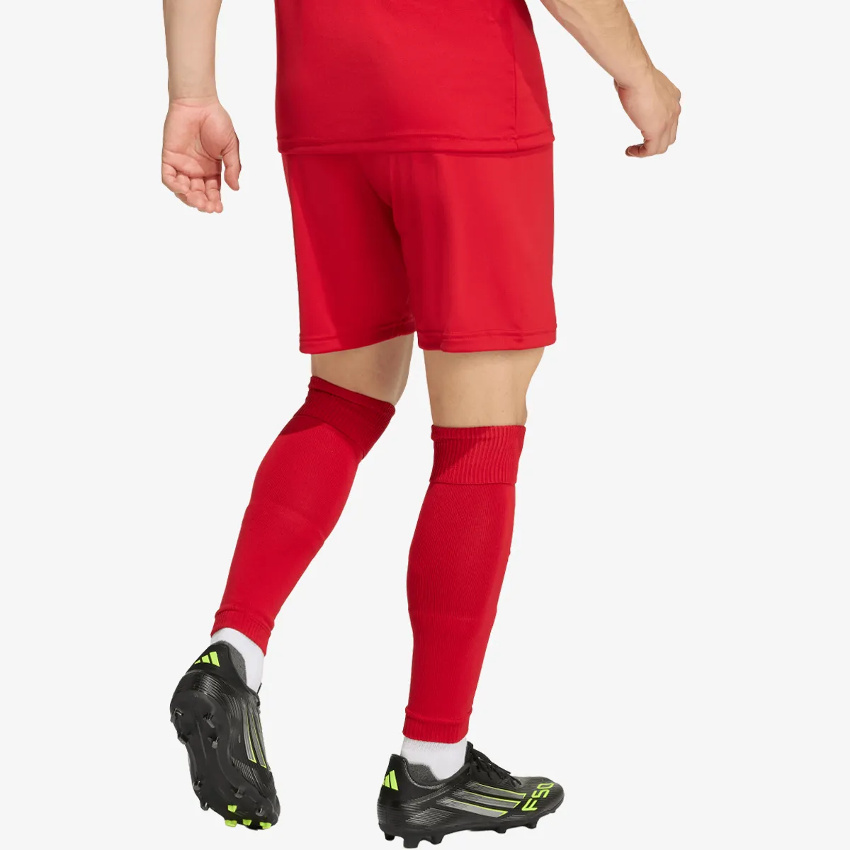 adidas Šorc ENT26 SHO 