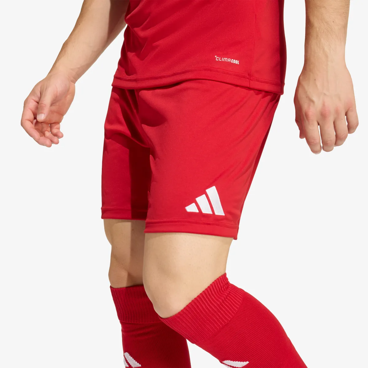 adidas Šorc ENT26 SHO 