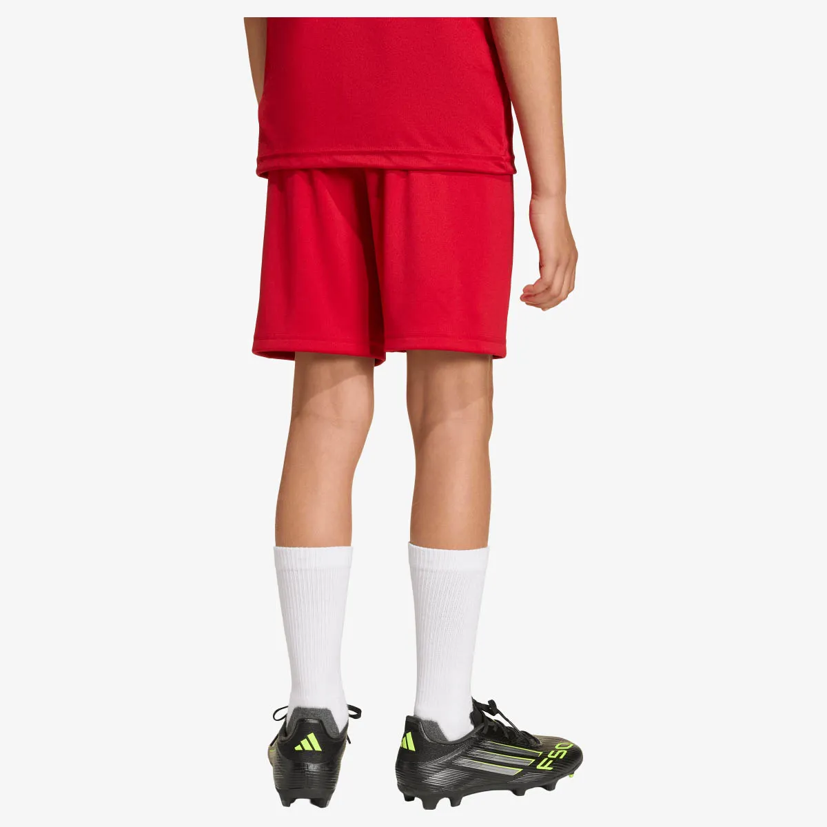 adidas Šorc ENT26 SHO Y 