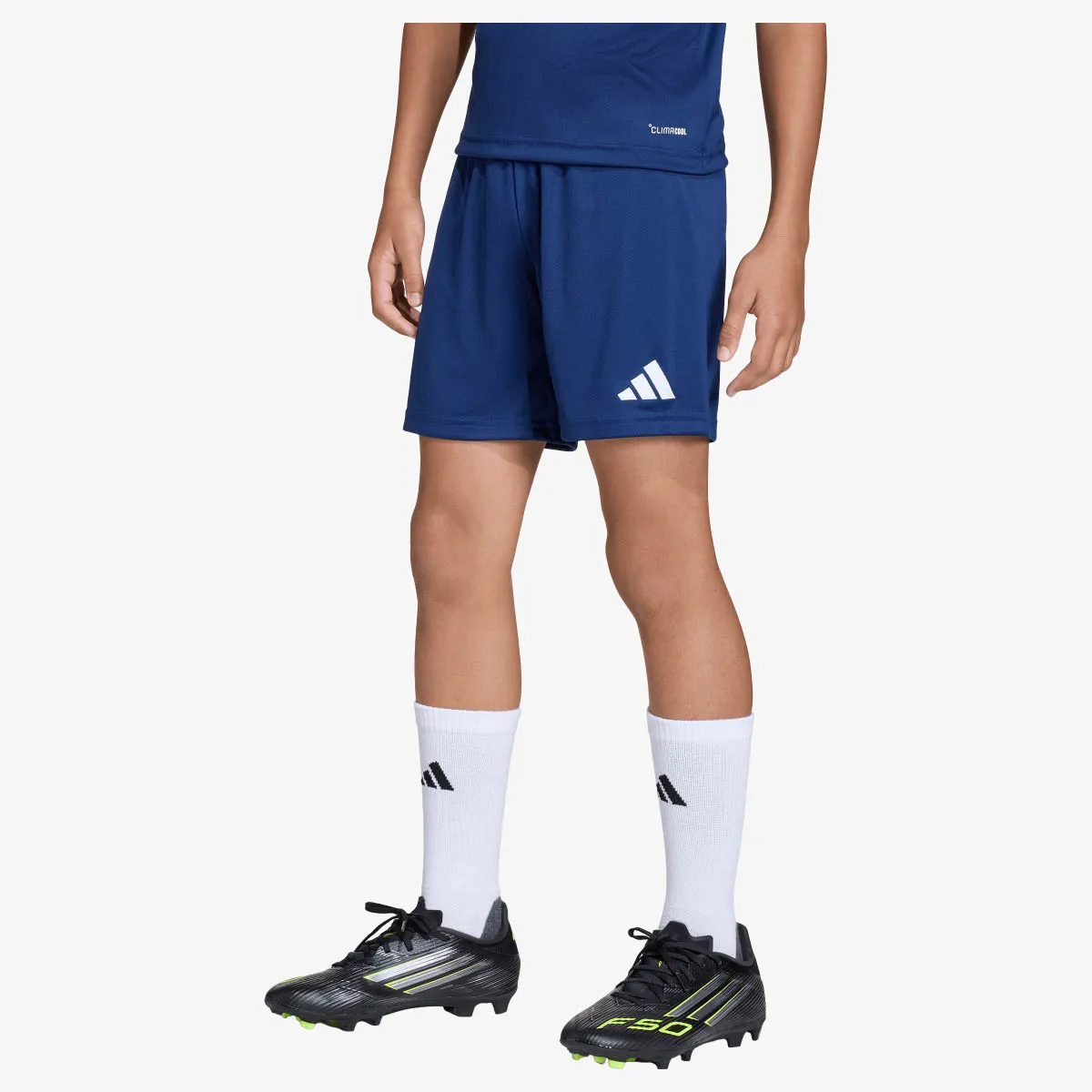 adidas Šorc ENT26 SHO Y 