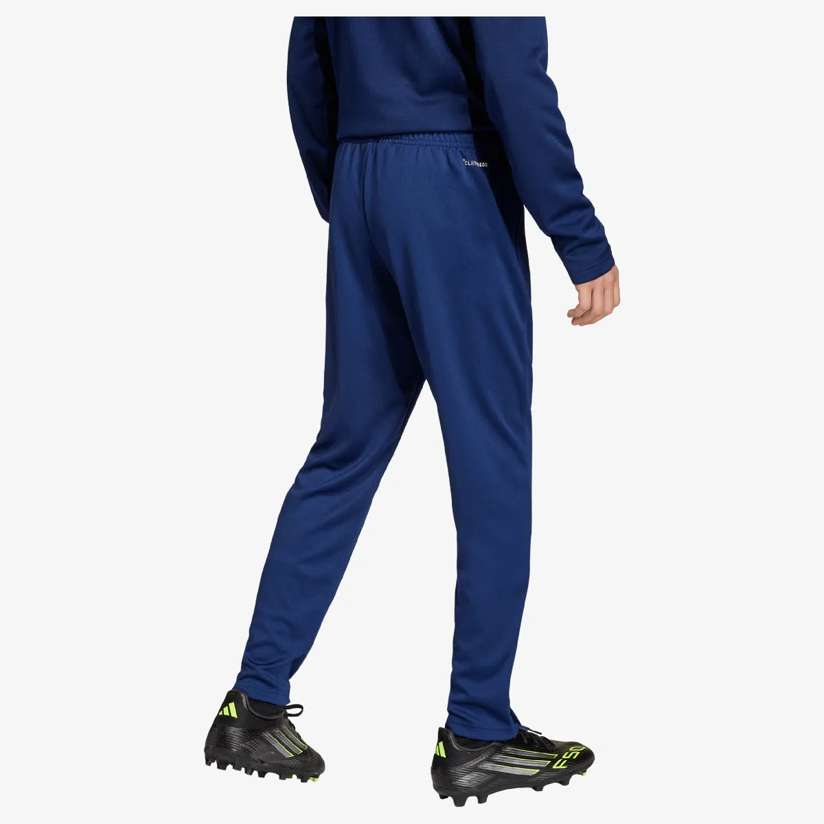 adidas Donji Deo Trenerke ENT26 TR PNT Y 