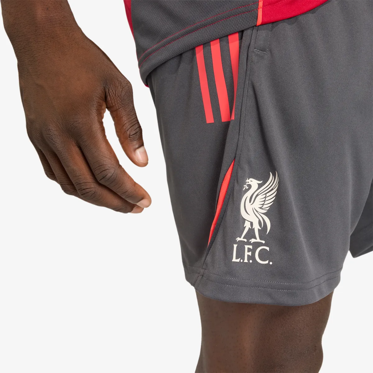 adidas Šorc Liverpool FC Tiro 25 Competition Training