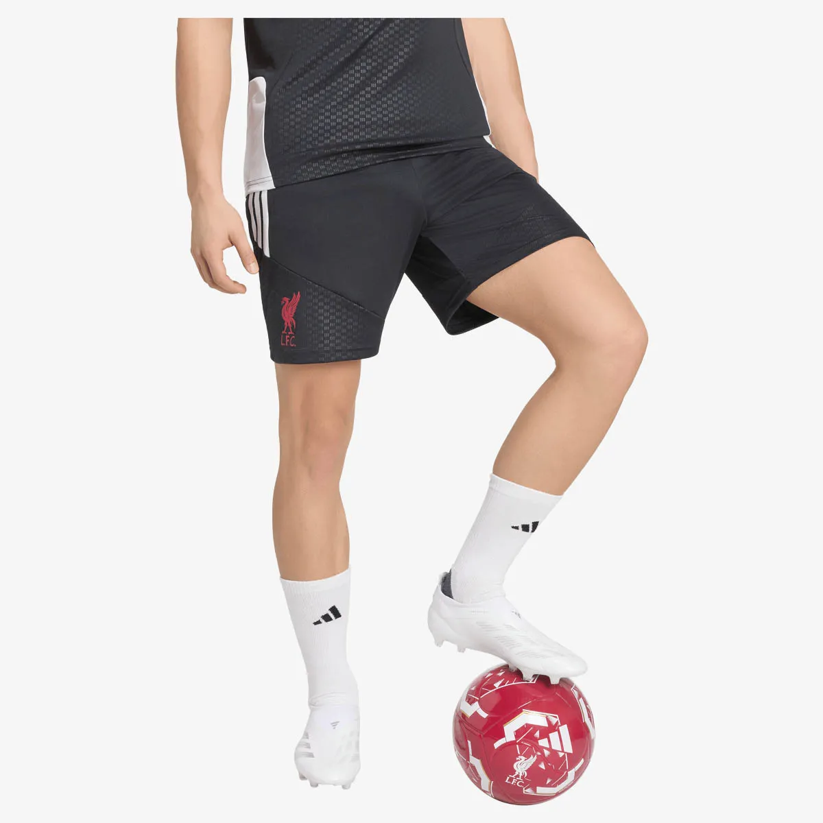 Šorc LFC TR SHO 