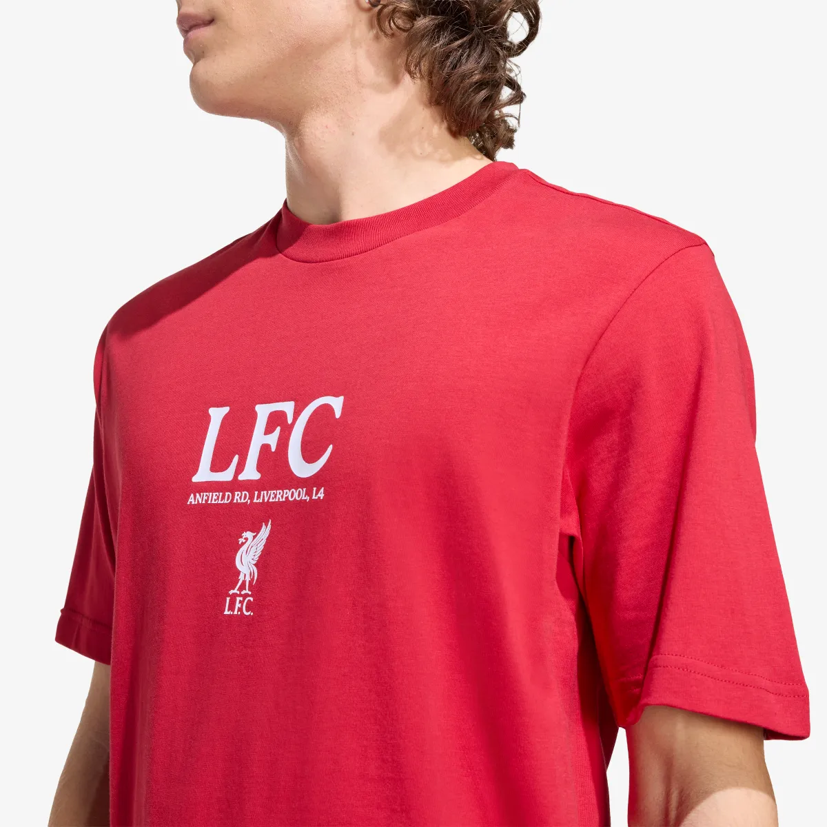 adidas Majica Liverpool FC Seasonal 