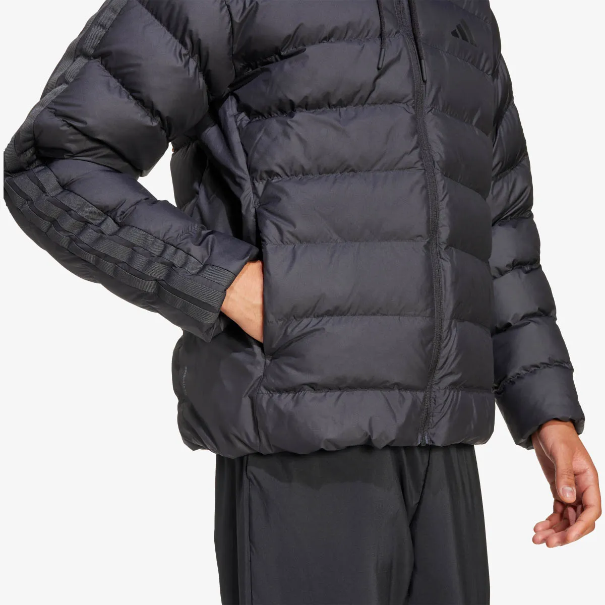 adidas Jakna ESS 3S SD HD JK 