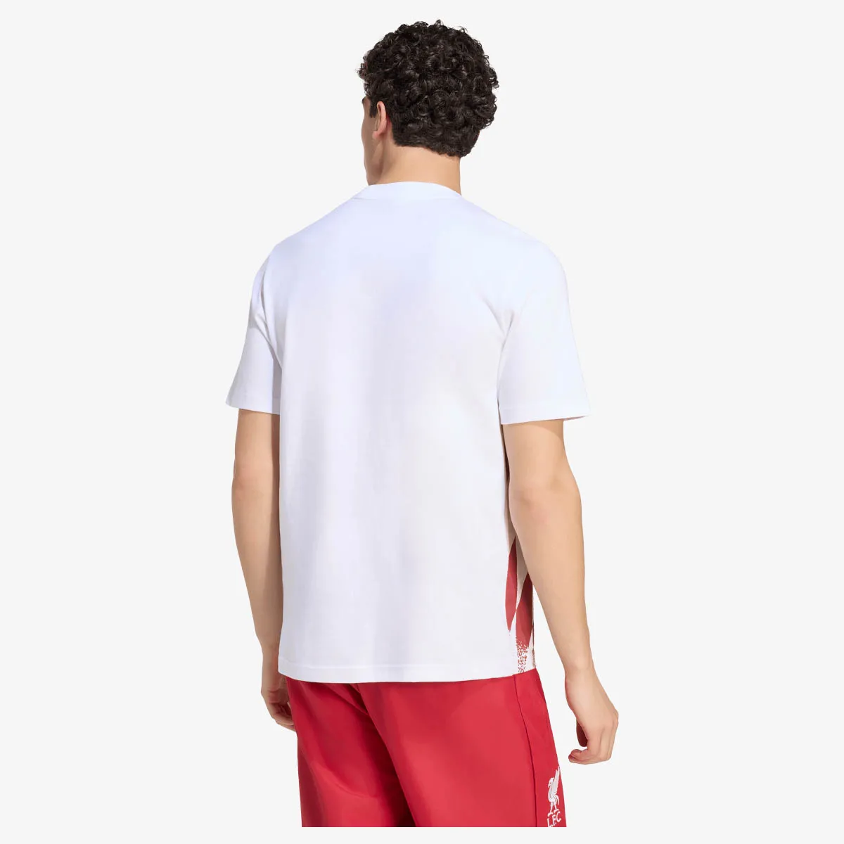 adidas Majica LFC ST GR TE 