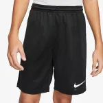 Nike Šorc Y NK DF PARK III SHORT NB K