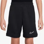Nike Šorc Academy 25