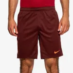 Nike Šorc Strike