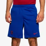 Nike Šorc PSG Strike