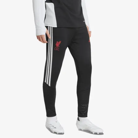adidas Donji Deo Trenerke LFC TR PNT 